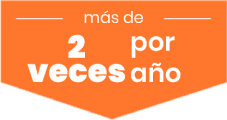 Two Times Per Year Icon